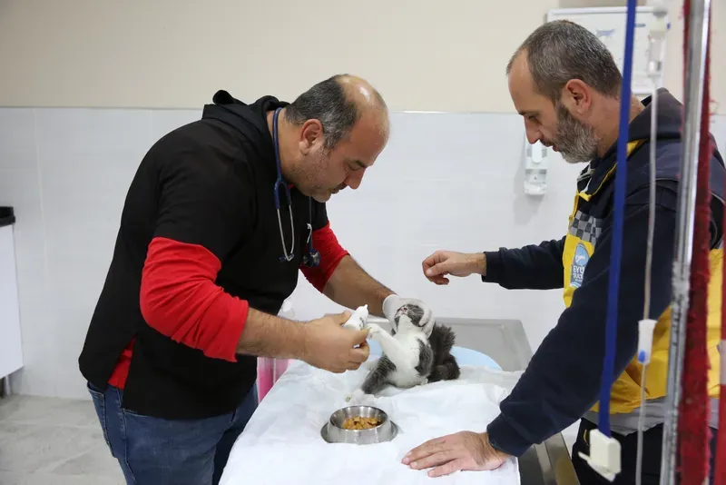 Eyüpsultan Belediyesi