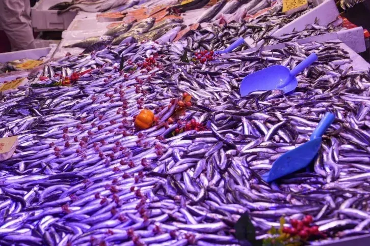 Eskişehir’de balık satış yerlerine ortak denetim