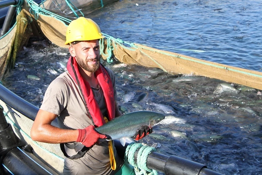 Bu filmin başrolünde Türk Somonu oynadı