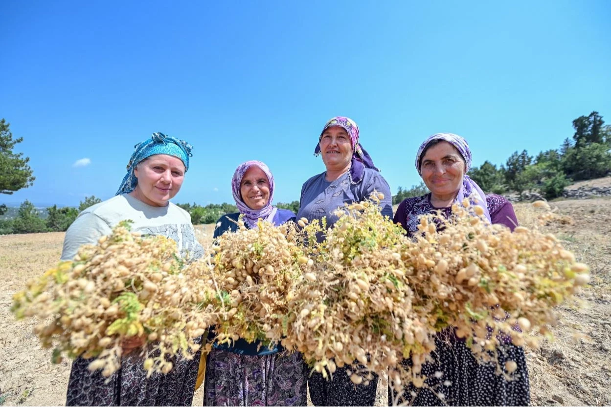 Atalık tohumlar geleceğe taşınıyor